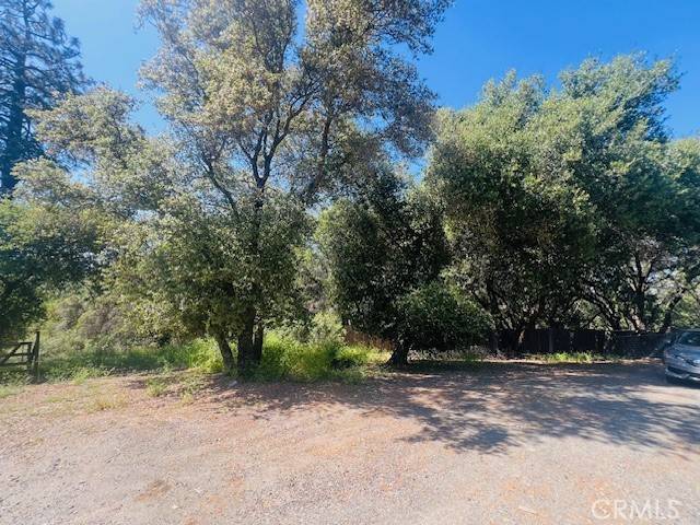 Sonora, CA 95370,8697 Fraguero Road