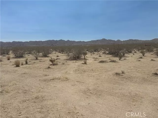 Joshua Tree, CA 92252,0 29 Palms Highway 62