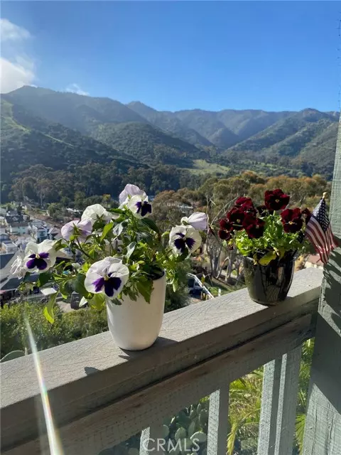 Avalon, CA 90704,113 Tremont Street