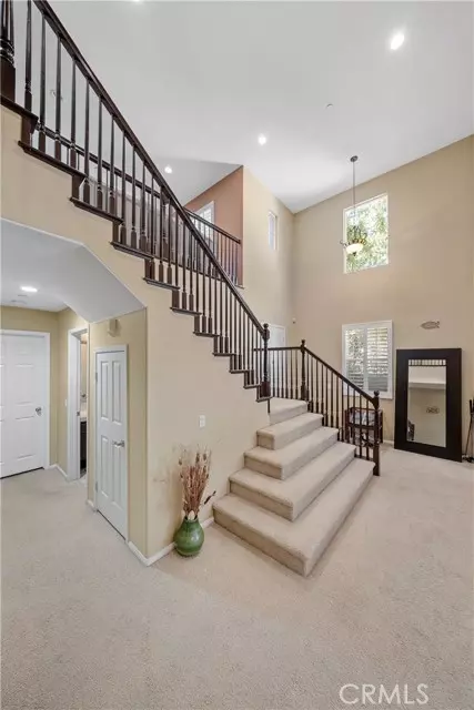 Chino Hills, CA 91709,5095 Buckwheat