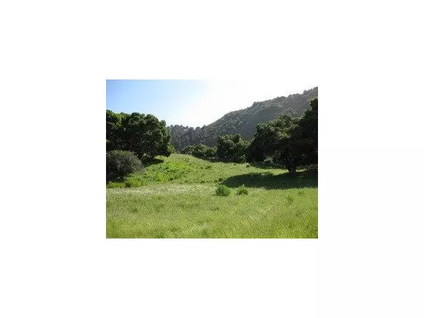 8 WILD BOAR Run, Carmel Valley, CA 93923