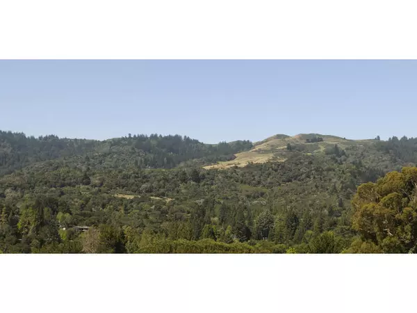 40 ANTONIO Court, Portola Valley, CA 94028