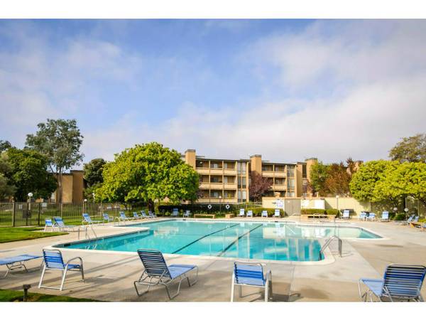 1131 COMPASS Lane #103, Foster City, CA 94404