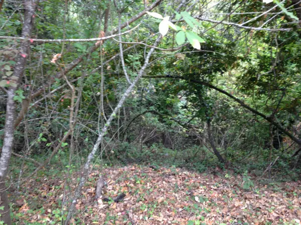 0 Cuesta Real, La Honda, CA 94020