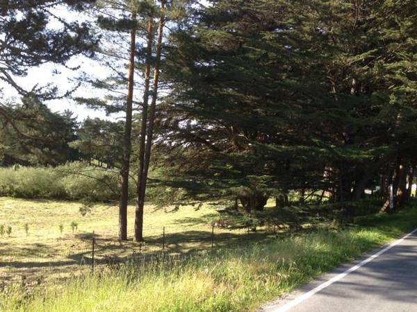 0 Sunshine Valley, Moss Beach, CA 94038