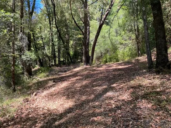 Lot 01 Highway 9, Boulder Creek, CA 95006