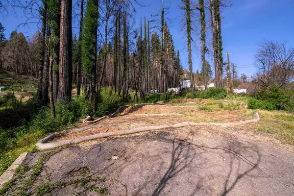 175 Fern Rock Way, Boulder Creek, CA 95006