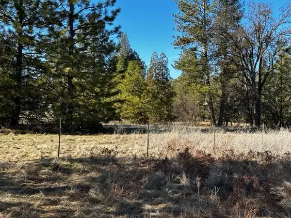 0000 Dogtown Road, Coulterville, CA 95311