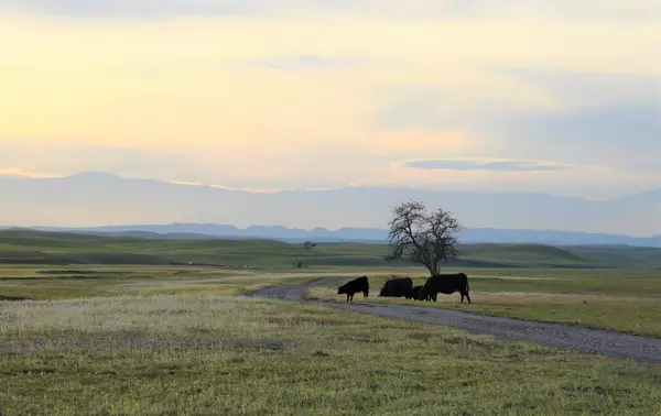 Artois, CA 95913,00 Road 33