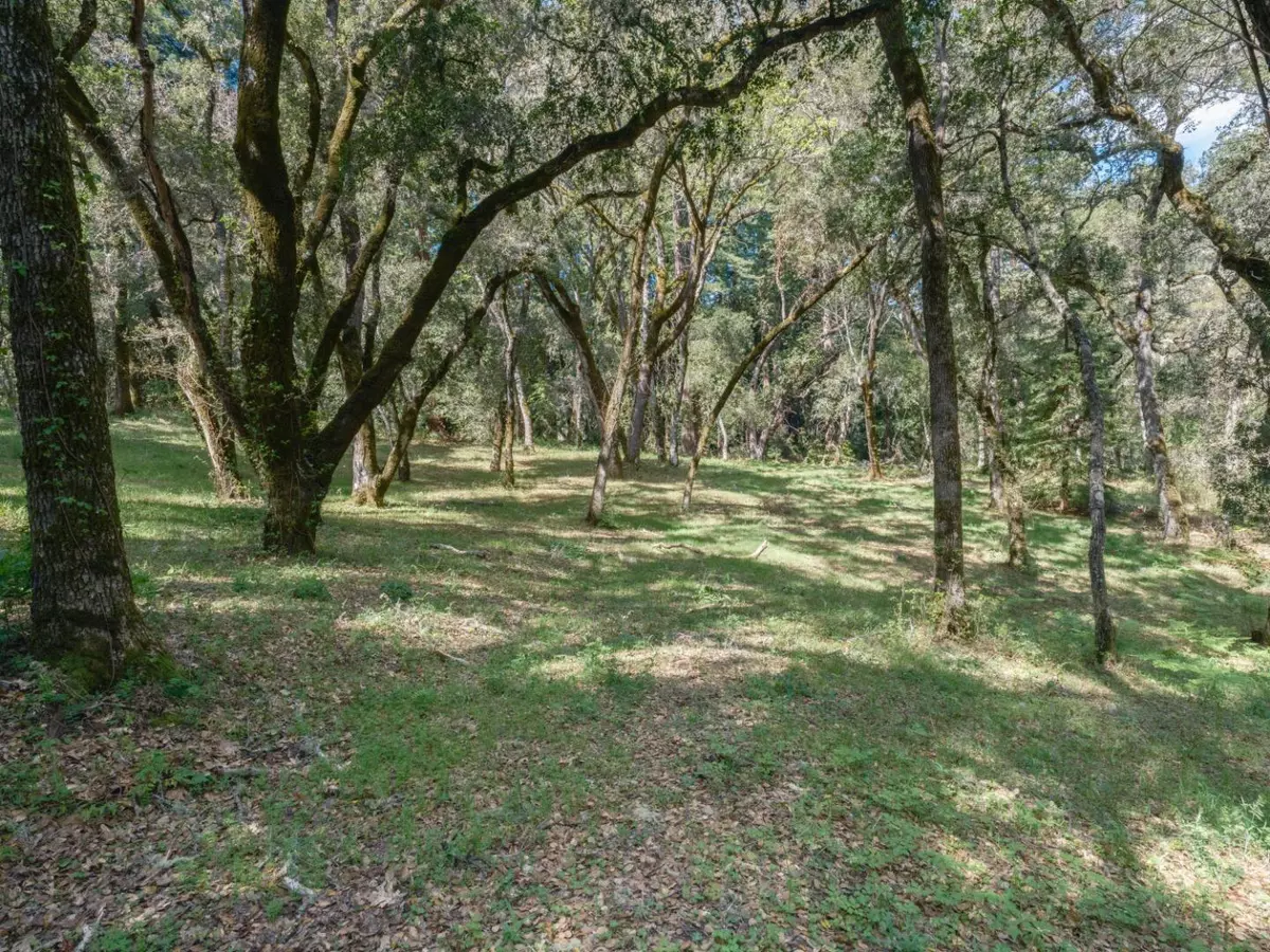 Carmel Valley, CA 93923,35000 Robinson Canyon Road