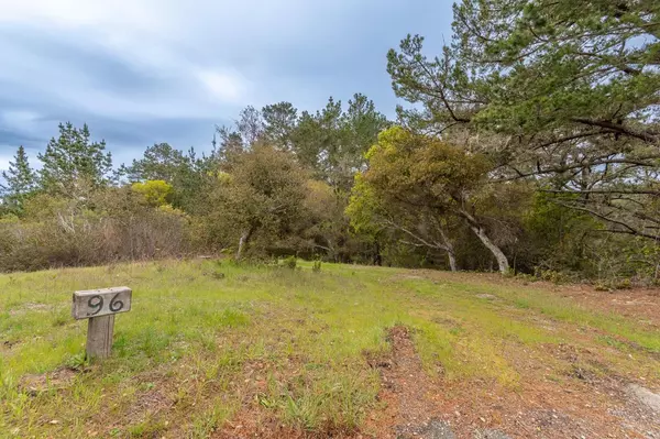 Carmel, CA 93923,7935 Cinquenta (Lot 96)