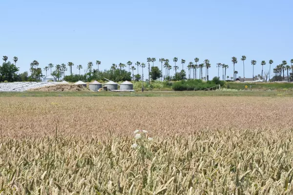 Isleton, CA 95641,16637 Tyler Island Road