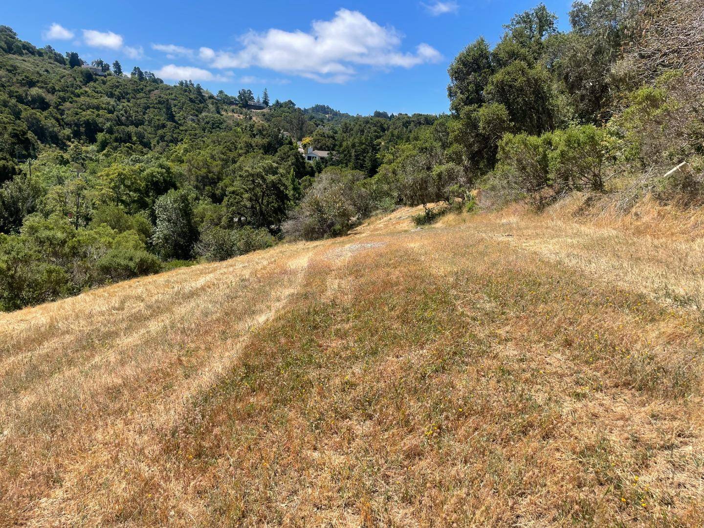 0 Tartan Trail Road, Hillsborough, CA 94010