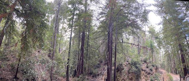 Los Gatos, CA 95033,0 Bear Creek Road