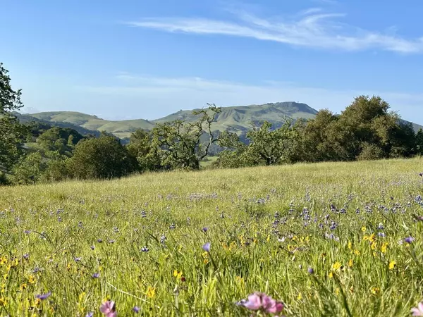 Carmel, CA 93923,8 Touche Pass