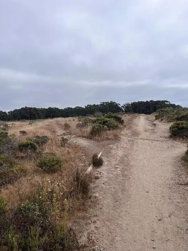 Half Moon Bay, CA 94019,110 Park Avenue