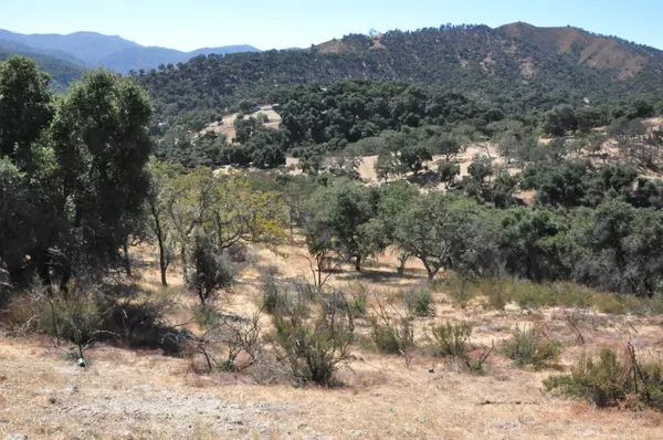 Carmel Valley, CA 93924,190 Cachagua Road