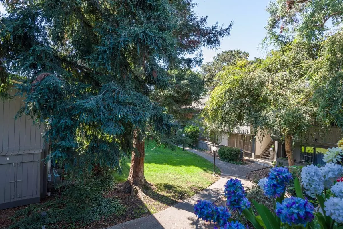 Santa Clara, CA 95051,150 Saratoga Avenue #330