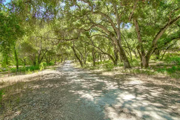 Carmel Valley, CA 93924,36000 E Carmel Valley Road