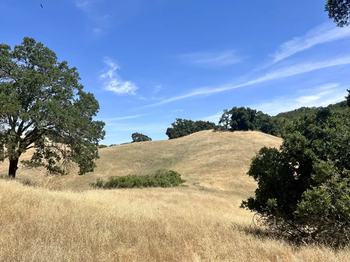 Morgan Hill, CA 95037,0 Little Uvas Road