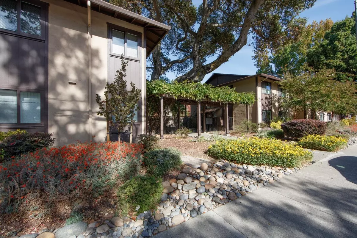 Menlo Park, CA 94025,610 Gilbert Avenue #14