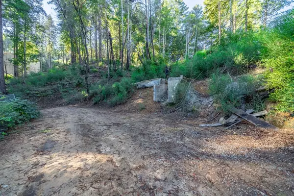 Boulder Creek, CA 95006,350 Madrone Drive