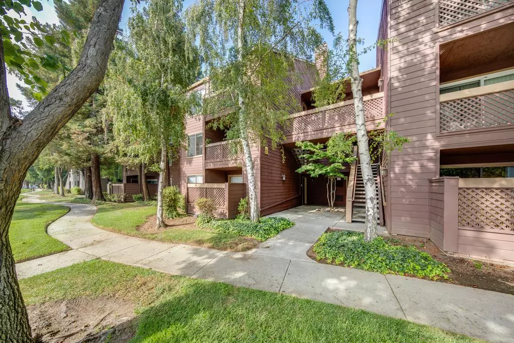 San Jose, CA 95128,834 Catkin Court