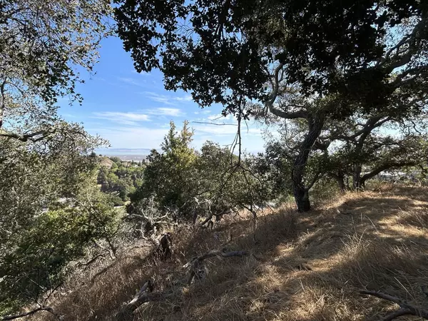 San Carlos, CA 94070,0a Winding Way