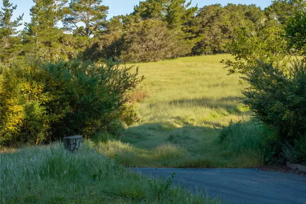 Carmel, CA 93923,7925 Cinquenta (Lot 97)