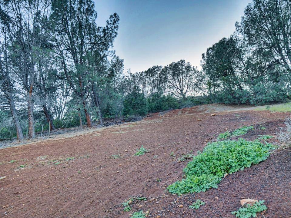 Kelseyville, CA 95451,3223 S Lake Drive