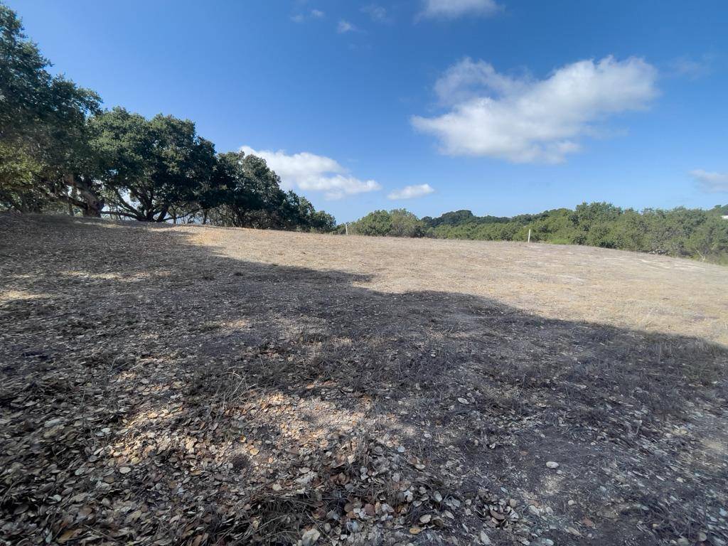 Carmel, CA 93923,70 Chamisal Pass