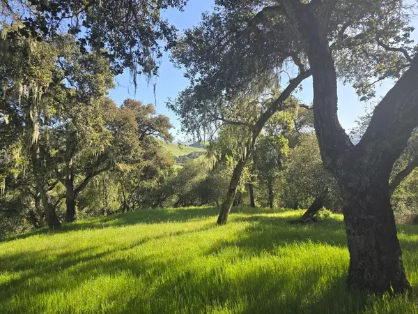 Carmel Valley, CA 93924,16 SLEEPY HOLLOW DRIVE