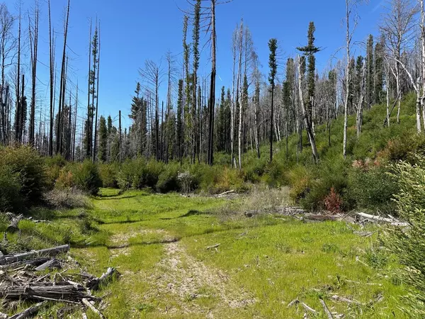 Davenport, CA 95017,4605 Last Chance Road