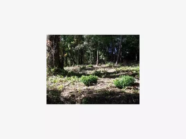Los Gatos, CA 95033,0 Gist Road