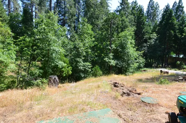 Avery, CA 95224,662 Roan Way