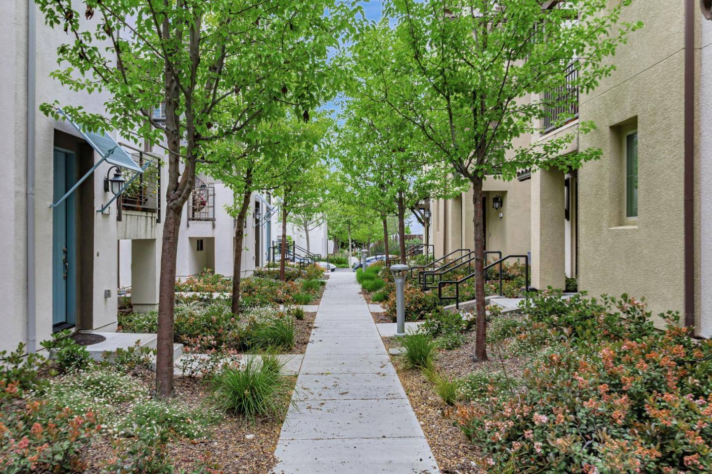 San Jose, CA 95136,223 William Manly Street #1