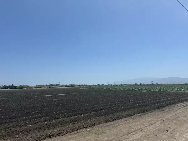 Salinas, CA 93907,1202 Castroville Road