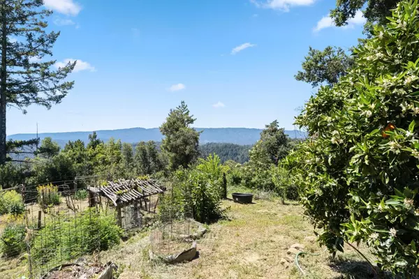 Boulder Creek, CA 95006,1495 Dons Road