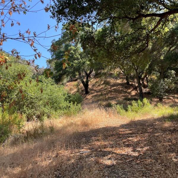 15580 Armsby Lane, Morgan Hill, CA 95037