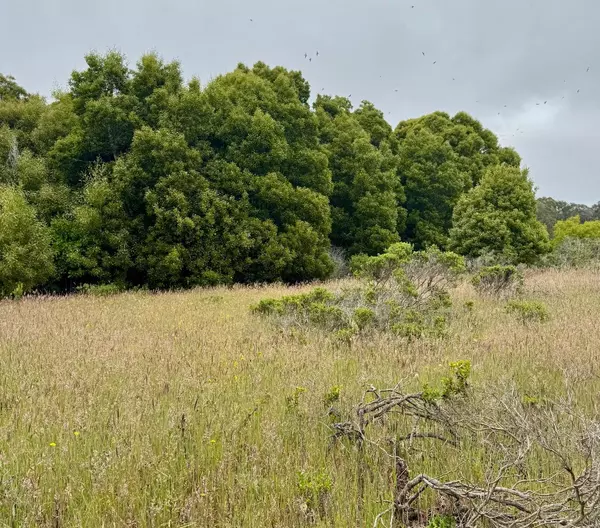 Half Moon Bay, CA 94019,00 Bonita