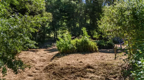 Boulder Creek, CA 95006,15971 Forest Hill Drive