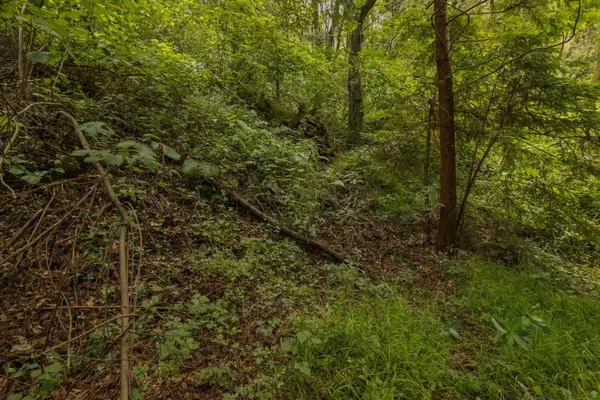 Aptos, CA 95003,Lot 02 Cathedral Drive