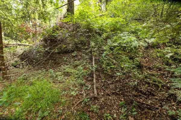 Aptos, CA 95003,Lot 02 Cathedral Drive