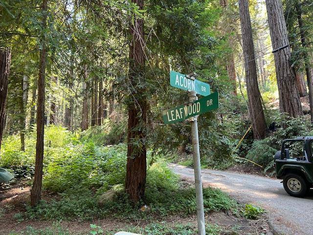 Boulder Creek, CA 95006,141 Leafwood Drive