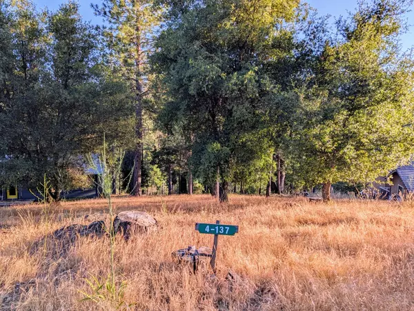 Groveland, CA 95321,20130 Pine Mountain Dr #4,137