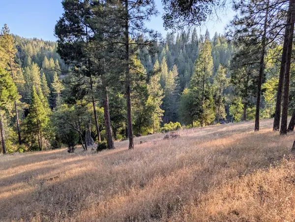 Groveland, CA 95321,20130 Pine Mountain Dr #4,137