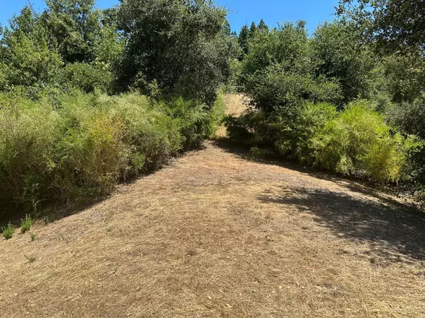 Los Gatos, CA 95033,0000 Main Boulevard
