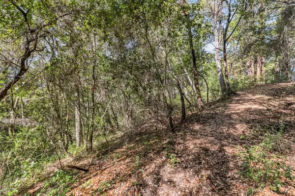 Felton, CA 95018,Lot 08 Madrone Avenue