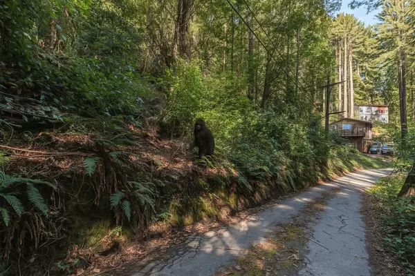 Felton, CA 95018,Lot 12 Vera Avenue