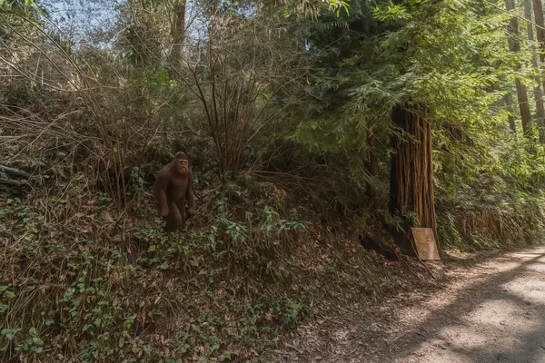 Felton, CA 95018,Lot 28 La Lena Street